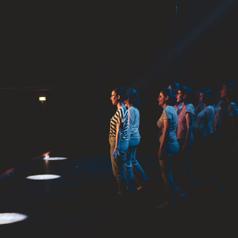 chorale-pirate-choristes-alignes